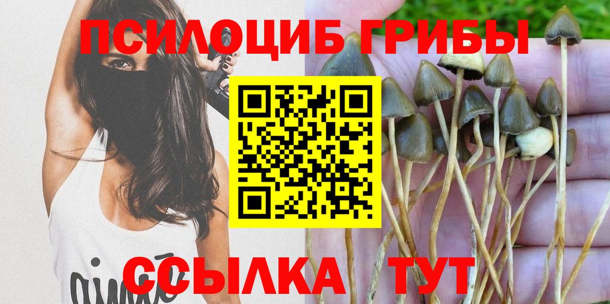 Псилоцибиновые грибы ЛСД Губкин