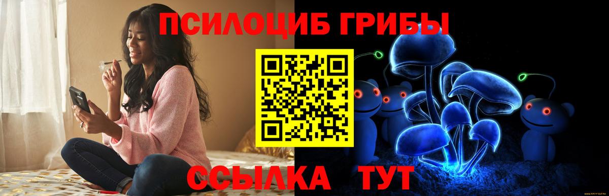 Галлюциногенные грибы Cubensis  Галлюциногенные грибы Psilocybe  Губкин  Вход с VPN 